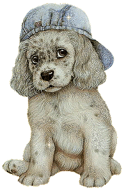 white dog hat