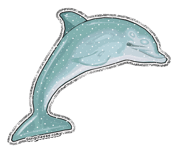 glitter dolphin