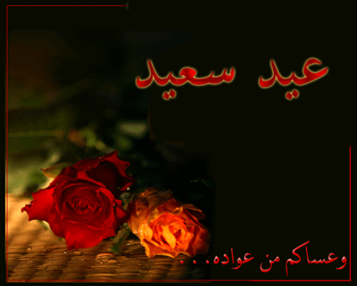 arabic roses