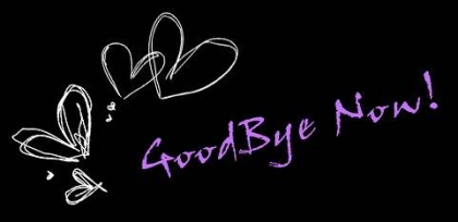 good bye now