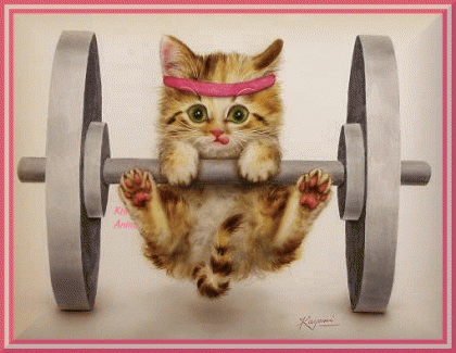 kitten workout