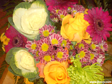 colorful flowers wit