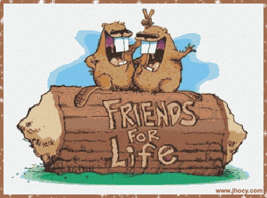 Friends Life