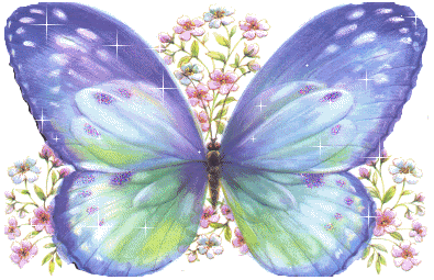 butterfly with flowe