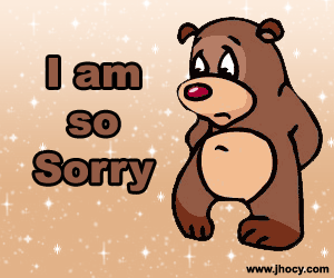sorry bear