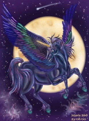 dark unicorn